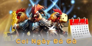 Coi ngày đá gà