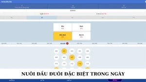 Nuôi đầu đuôi đặc biệt trong ngày